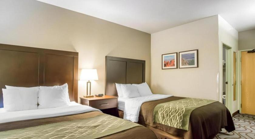 Comfort & Hotel 2*