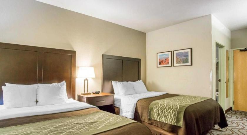 Hotel Comfort & Fruita
