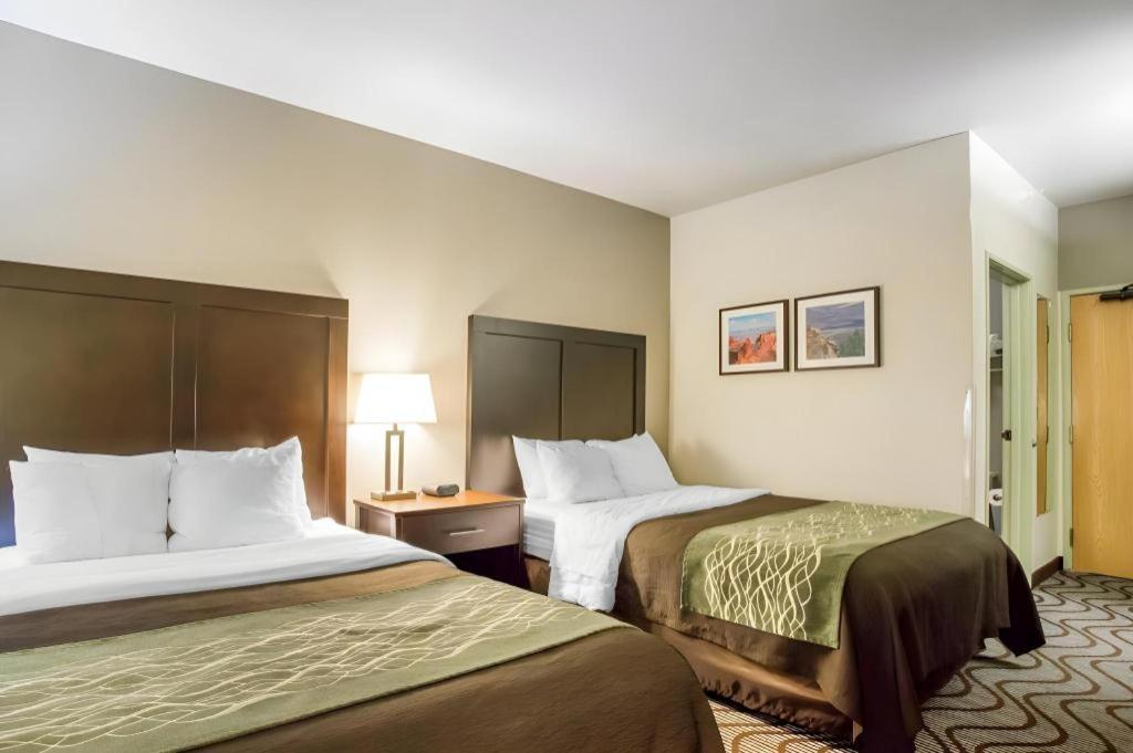 Hotel Comfort & 2*