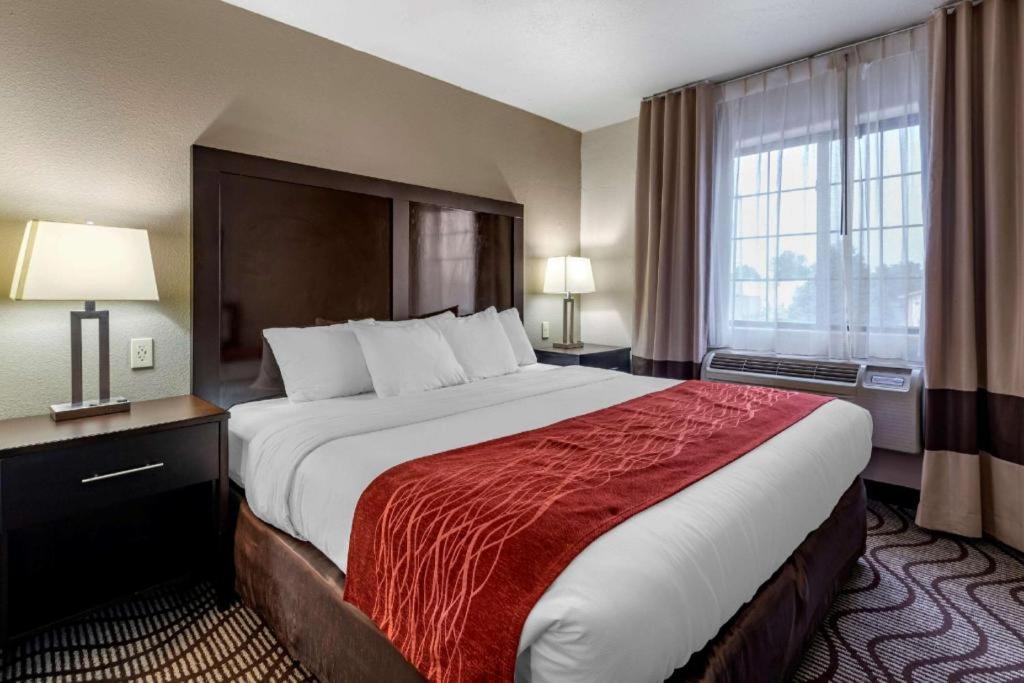 Hotel Comfort &