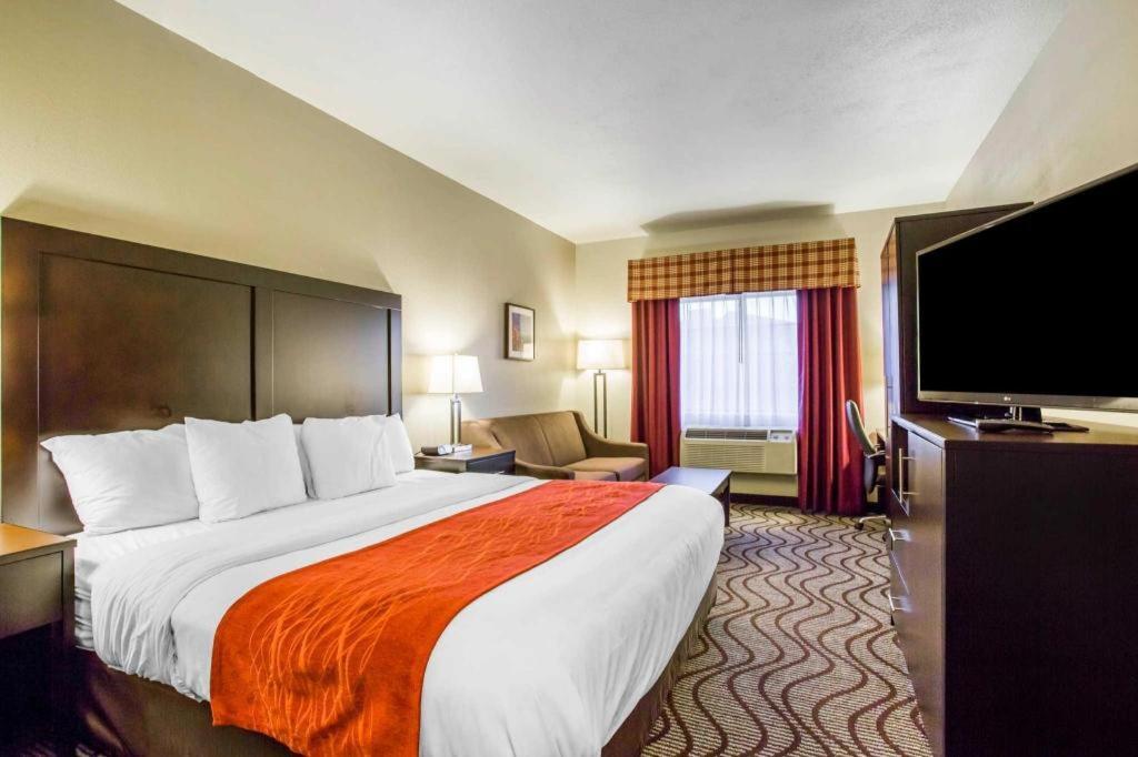 Hotel Comfort &