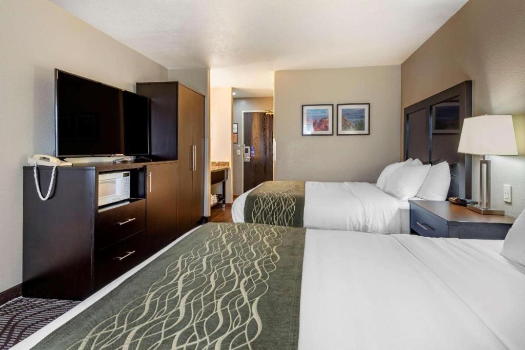 Hotel Comfort & Fruita