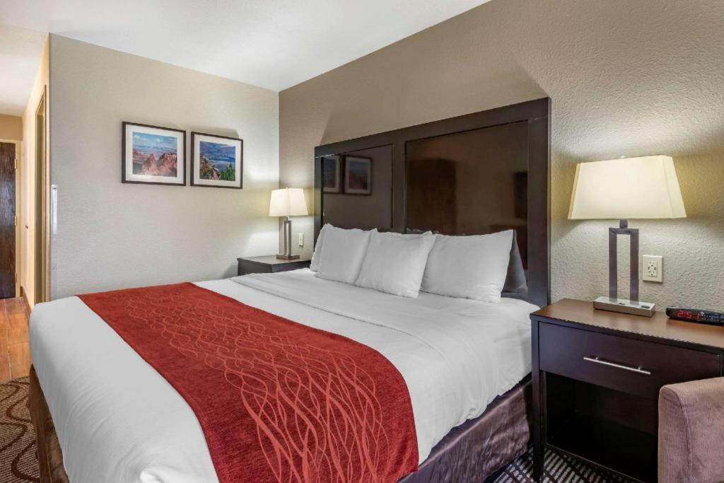 Comfort & Hotel 2*