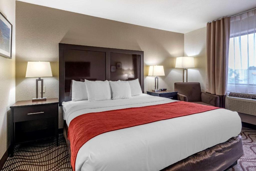 Hotel Comfort & Fruita