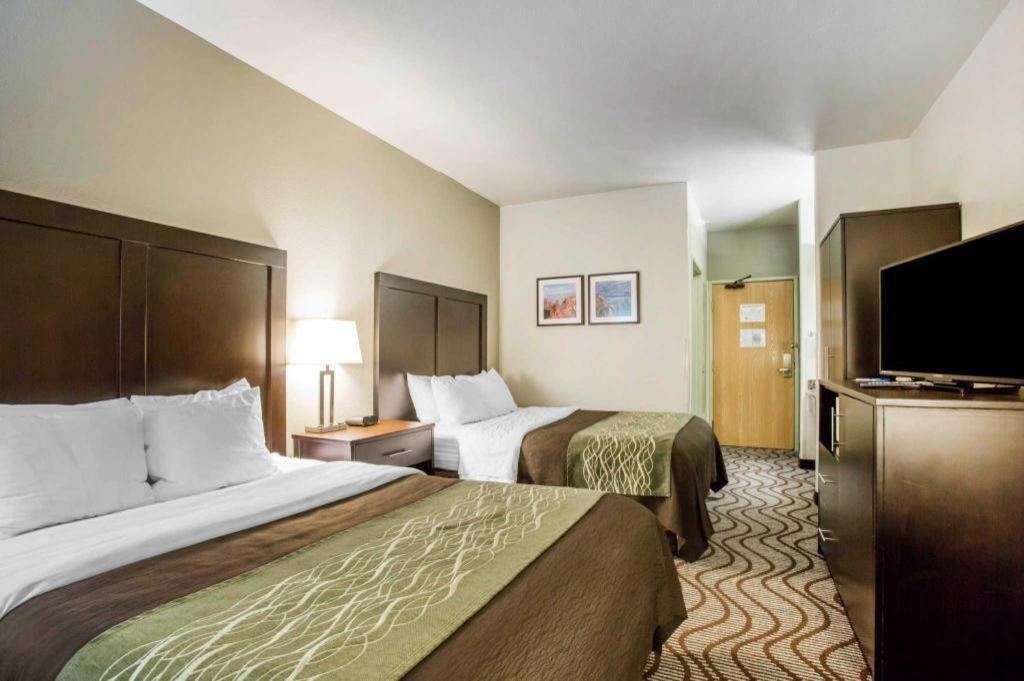 Comfort & Hotel 2*