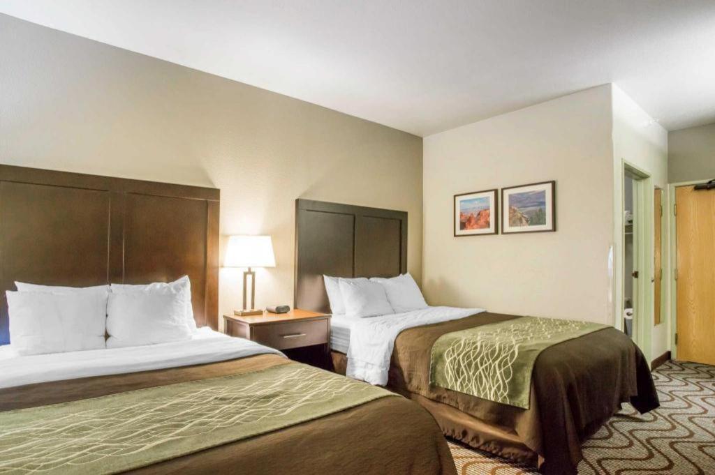 Comfort & Hotel 2*